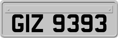 GIZ9393