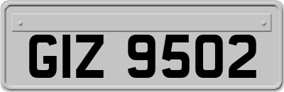 GIZ9502