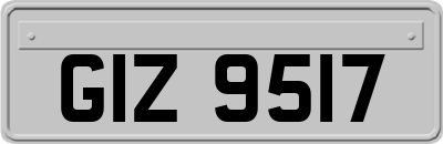 GIZ9517