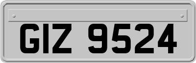 GIZ9524