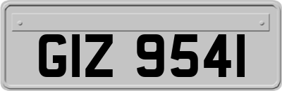 GIZ9541