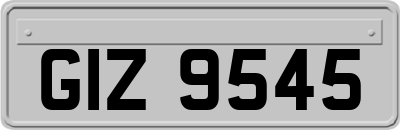 GIZ9545