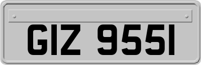 GIZ9551