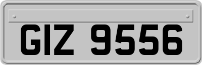 GIZ9556