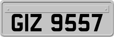 GIZ9557