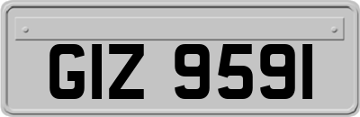GIZ9591