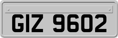 GIZ9602