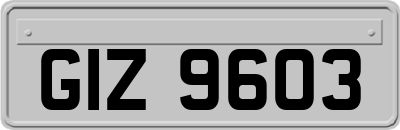 GIZ9603