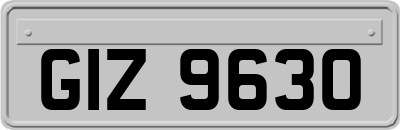 GIZ9630