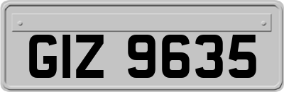 GIZ9635