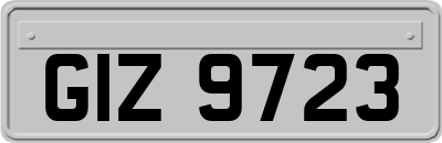 GIZ9723