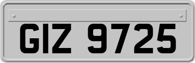 GIZ9725