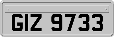 GIZ9733