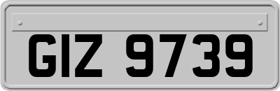 GIZ9739