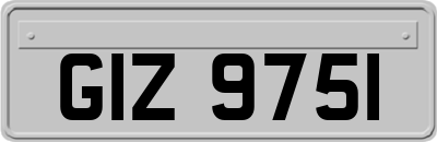 GIZ9751