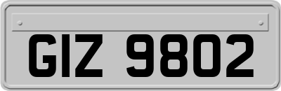 GIZ9802