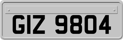 GIZ9804