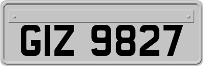 GIZ9827