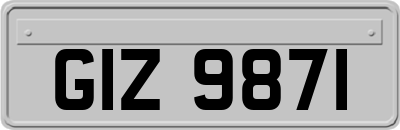 GIZ9871