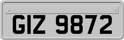 GIZ9872