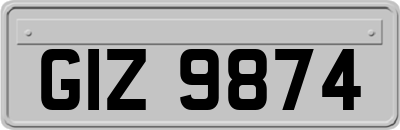 GIZ9874
