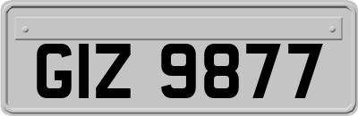 GIZ9877