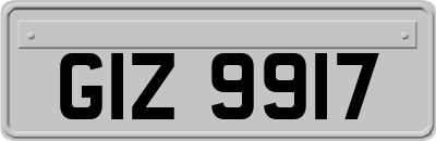 GIZ9917