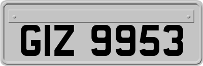 GIZ9953