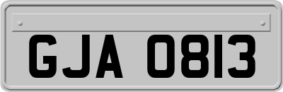 GJA0813