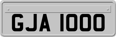 GJA1000