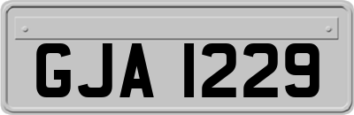 GJA1229