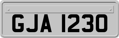GJA1230