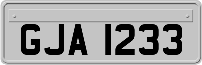 GJA1233