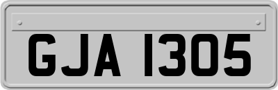 GJA1305