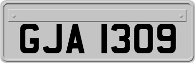 GJA1309