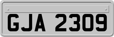 GJA2309