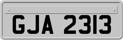 GJA2313
