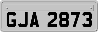 GJA2873
