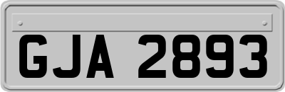 GJA2893