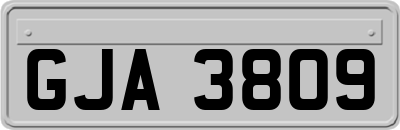 GJA3809