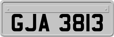 GJA3813