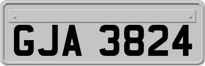 GJA3824