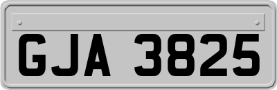 GJA3825