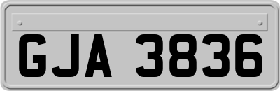 GJA3836