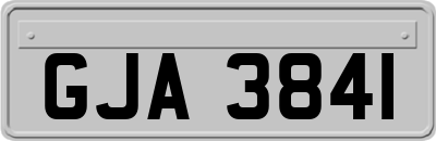 GJA3841