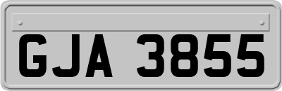 GJA3855