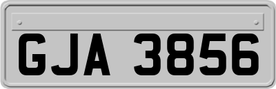GJA3856