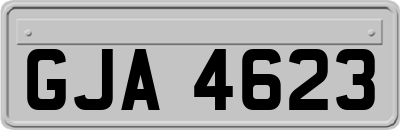 GJA4623