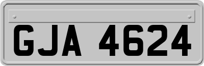 GJA4624