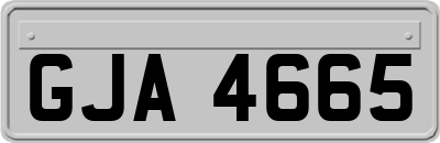 GJA4665
